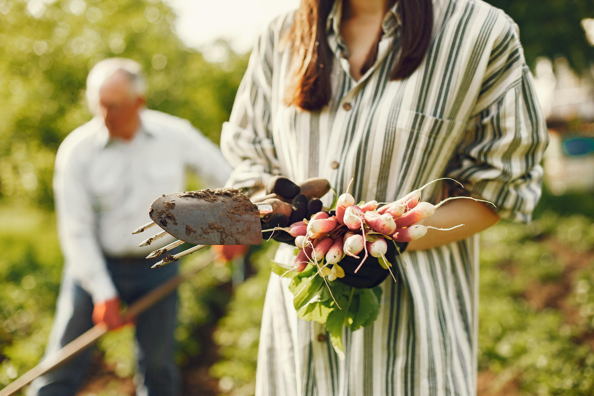 A woman holds freshly harvested radishes in a sunny garden while an older man tends to the soil.