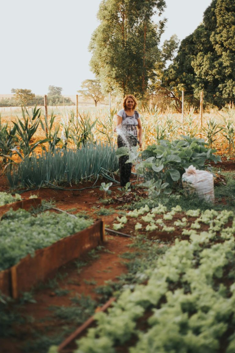 Adult woman tending to a vegetable garden surrounded by lush greenery during summer.
