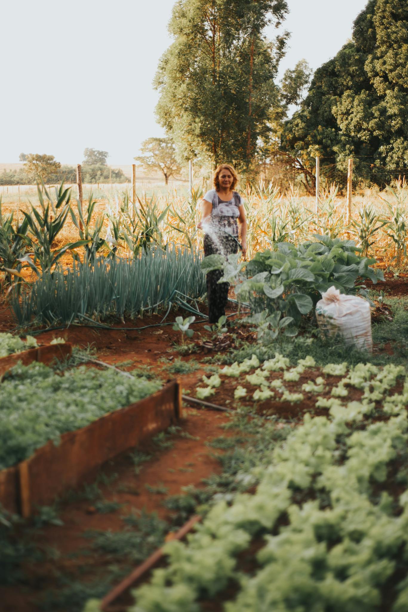 Adult woman tending to a vegetable garden surrounded by lush greenery during summer.
