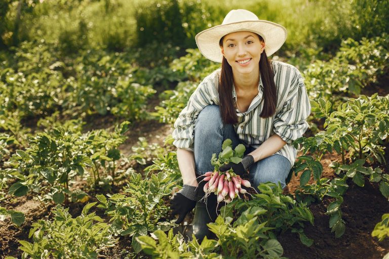 Smiling woman with radishes during harvest on sunny farm day.